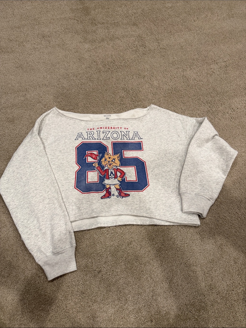 Arizona Cropped Crewneck Sweatshirt - Gray